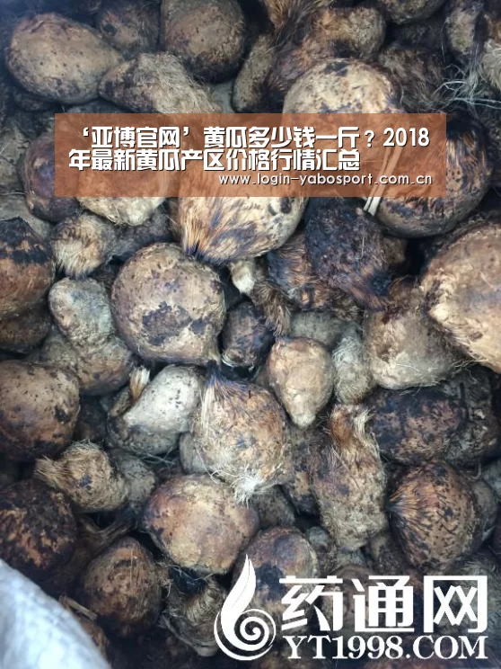 亚博中国官网