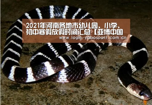 亚博官网