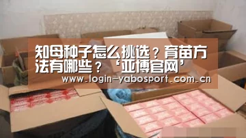 亚博中国官网