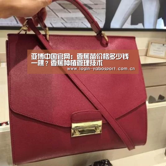 亚博中国官网:香蕉苗价格多少钱一棵?香蕉种植管理技术(图1) 亚博平台