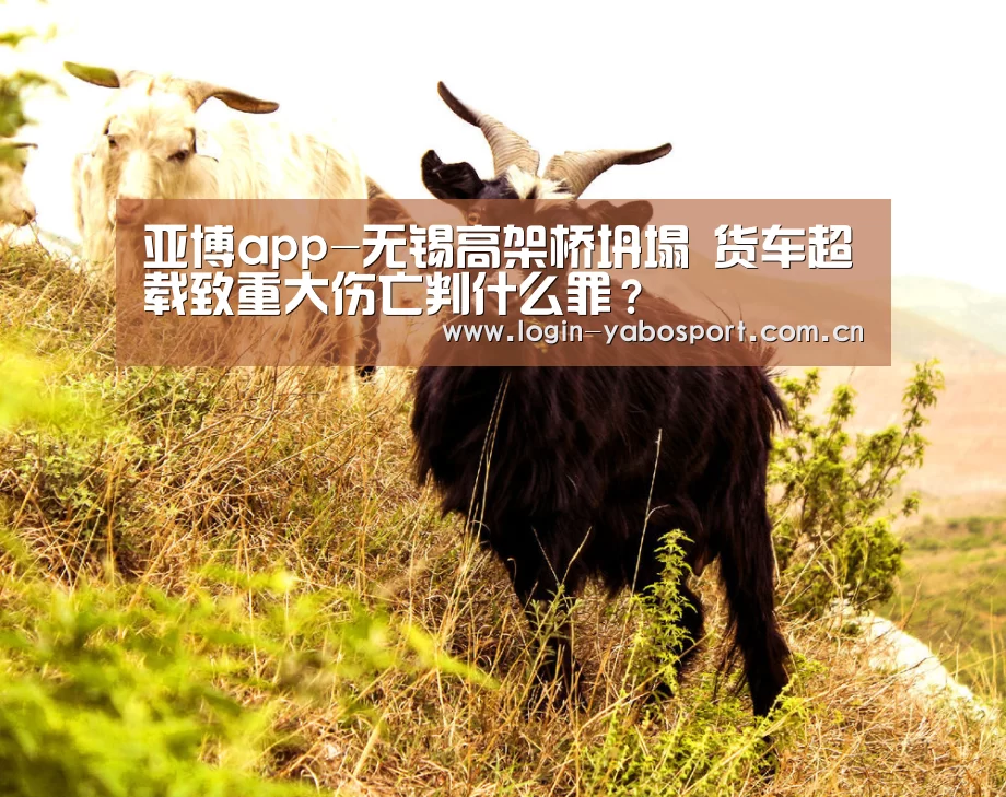 亚博app-无锡高架桥坍塌 货车超载致重大伤亡判什么罪?(图2) 亚博官网