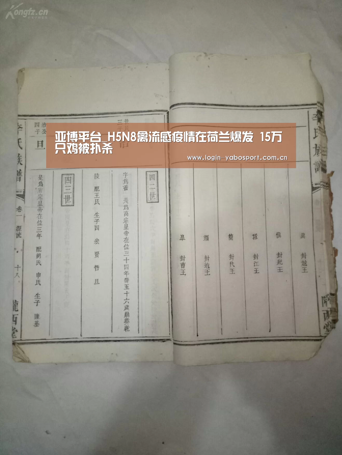 亚博平台_H5N8禽流感疫情在荷兰爆发 15万只鸡被扑杀(图2) 亚博中国官网