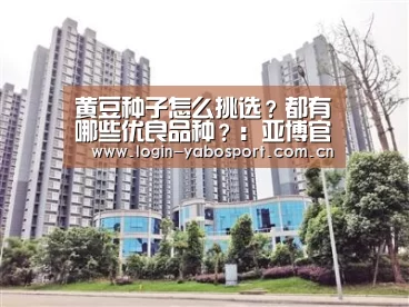 黄豆种子怎么挑选?都有哪些优良品种?:亚博官网(图1) 亚博平台